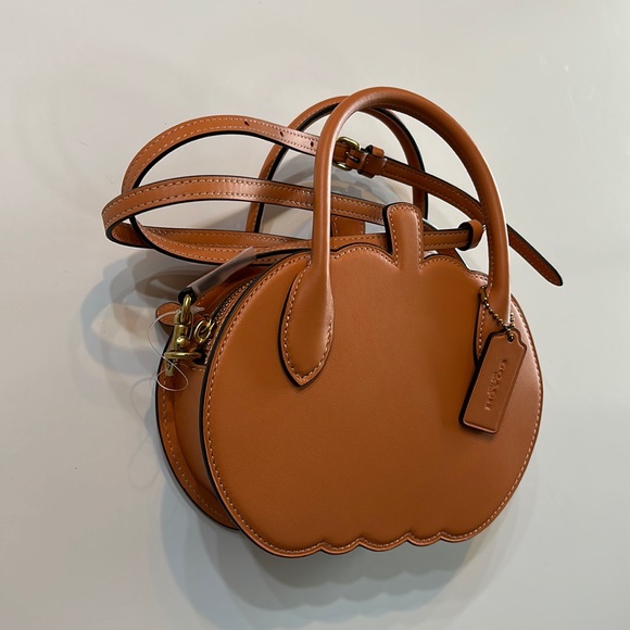 NWT Coach Fall Pumpkin Bag Orange Runway Leather Purse Zippered Case NYFW Handle - Picture 10 of 14